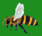 Biene