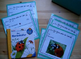Informationen zu einem Wiesentier: der Marienkäfer